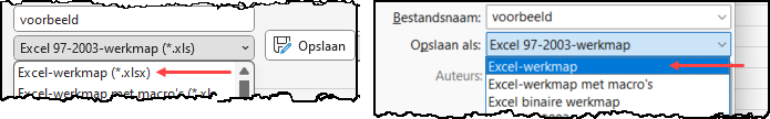 Schermafbeelding met deel van het dialoogvenster Opslaan als die laat zien hoe je opslaan als een Excel-werkmap in het nieuwe bestandsformaat.