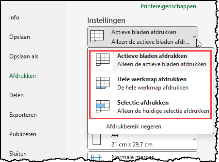 Schermafbeelding van Bestand Afdrukken met het geopende menu van de Instellingen.