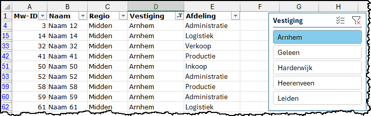 Schermafbeelding met dezelfde filterinstelling maar dan met een slicer.