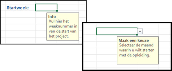 2 voorbeelden van gegevensvalidatie met een invoerbericht