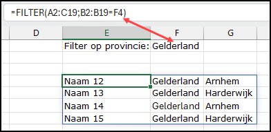 Schermafbeelding waarin niet "Gelderland" is getypt in de filterfunctie, maar verwezen wordt naar een cel waar "Gelderland" staat.