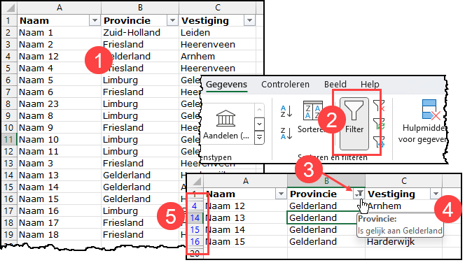 Schermafdrukken van de knop Filter op de tab Gegevens. Eronder een voorbeeldlijst waar je de filterknoppen ziet en waar op de provincie Gelderland is gefilterd.