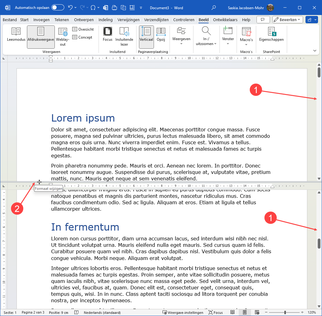 Schermafbeelding van Word net eeb in twee delen gesplitst venster.