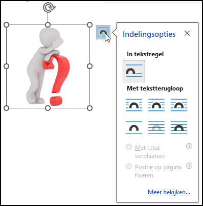 Geselecteerde afbeelding met een geopende knop Indelingsopties, waardoor je het menu ziet